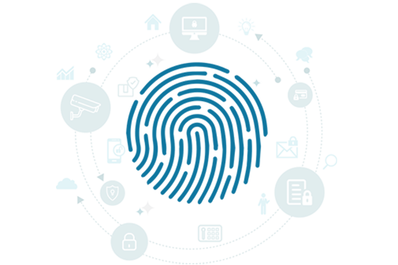 Microsoft License Activation